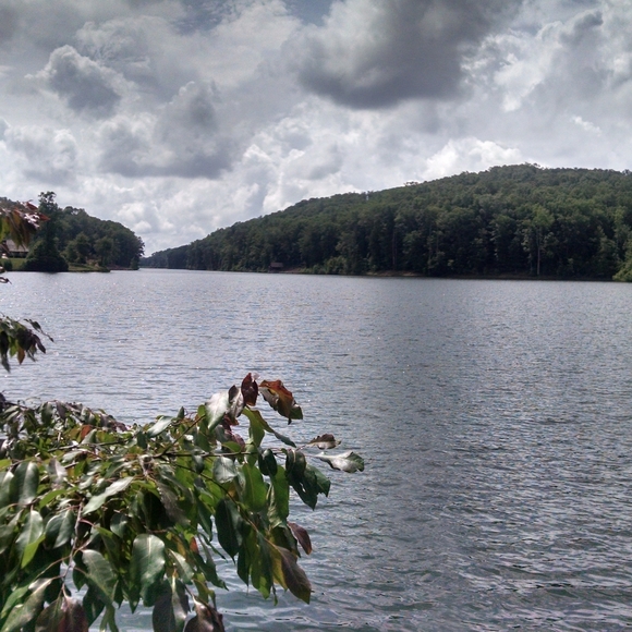 Meet your Posher, Robyn - Picture 4 of 8